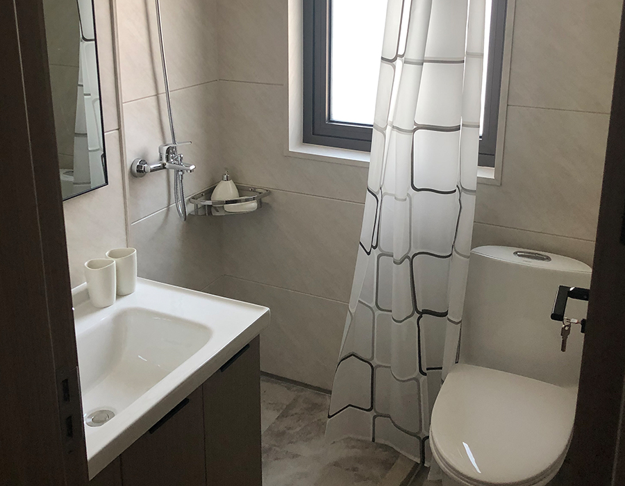 PEC Wall Board Pahalang na Prefabricated Modular Sanitary Banyo